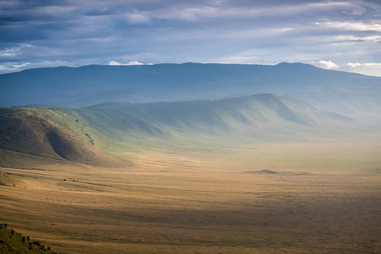 TZA ARU Ngorongoro 2016DEC26 Crater 008